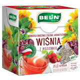 Belin Cerise à la fraise, fruits et tisane, aromatisé, 2 g x 20 sachets