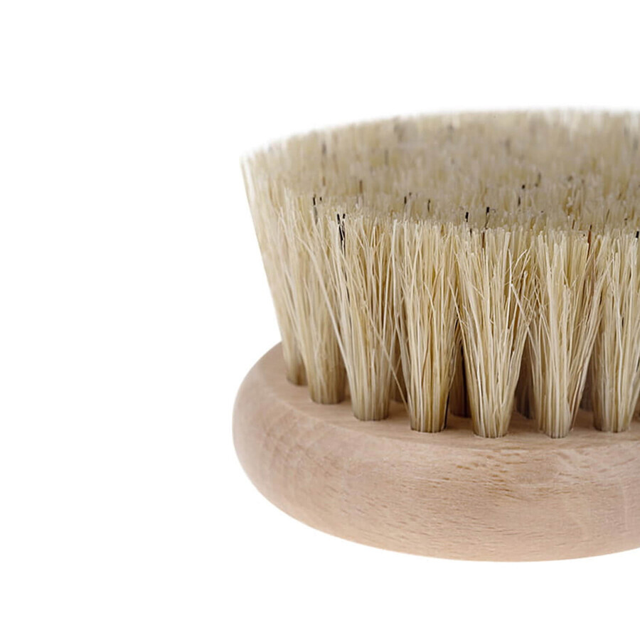 Bocioland, brosse à cheveux en bois, en poils naturels, ronde, 1 pièce