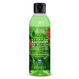 Barwa Natural, shampooing au cactus pour cheveux secs et normaux, hydratant, 300 ml