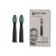 Oromed Oro-Sonic, embouts pour brosse &#224; dents sonique Basic Black, 2 pi&#232;ces