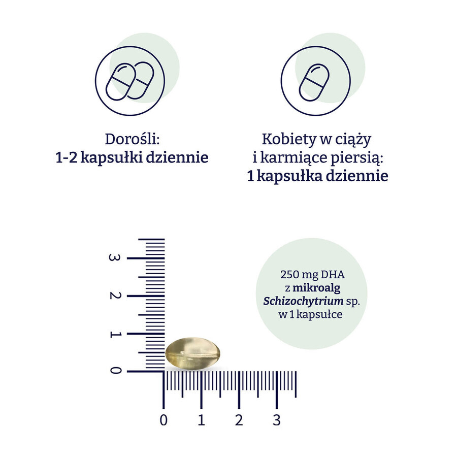 Naturell Omega-3 from Algae, 90 gélules végétaliennes