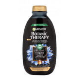 Garnier Botanic Therapy, shampooing équilibrant pour cheveux secs et cuir chevelu gras, charbon actif, 400 ml