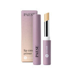 Paese Nanorevit, nourishing lipstick, 41 light gold, 2.2 g