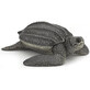 Figurine tortue de mer, +3 ans, Papo