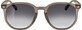 Sundance Sunglasses for adults, full frame translucent gray, 1 pc