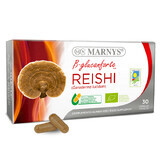 Reishi, 30 cápsulas, Marnys