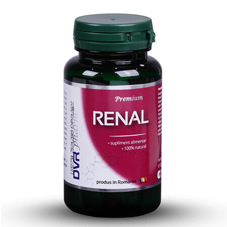 Renal, 60 gélules, Dvr Pharm