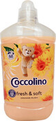 Coccolino Orange Rush Laundry Conditioner 68 lavages, 1,7 l