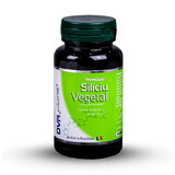 Silicium végétal, 60 gélules, Dvr Pharm