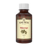 Sirop de macération, 200ml, Faunus Plant