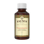 Vitaminizantus Sirup, 200ml, Faunus Pflanze