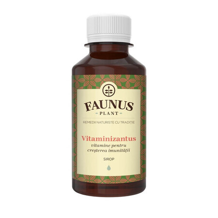 Vitaminizantus Sirup, 200ml, Faunus Pflanze