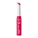 Bourjois Healthy Mix Clean Lip Sorbet ruj vegan 05 Ice Ice Berry, 7.4g