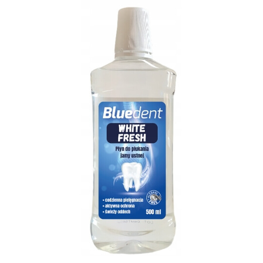 Bluedent, Fluide pour pics blancs, 500 ml