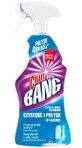 CILLIT BANG Spray nettoyant pour le bain Clean &amp; Shine 750 ml