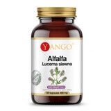 Yango, Alfalfa, 60 capsules