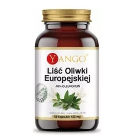 Yango, European olive leaf, 60 capsules