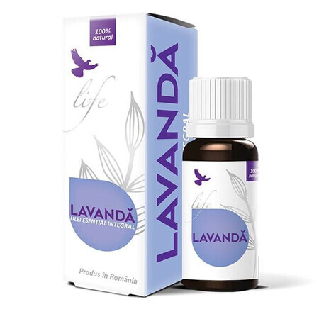 Ätherisches Lavendelöl, 10 ml, Bionovativ