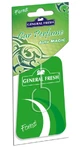 General Fresh, Parfum auto, Forest, 1 buc