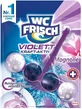 Toilette Frisch Violett Kraft Aktiv Magnolie, WC suspendu, 1 pièce