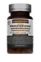 Singularis Przezibienie Andrographis Paniculata Plus 350mg (15%) + 30mg + 2mg, 60 g&#233;lules