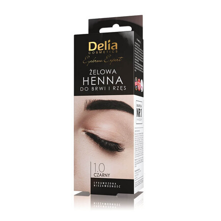 Delia Eyebrow Expert Henna para cejas y pestañas 1.0 negro, 15ml