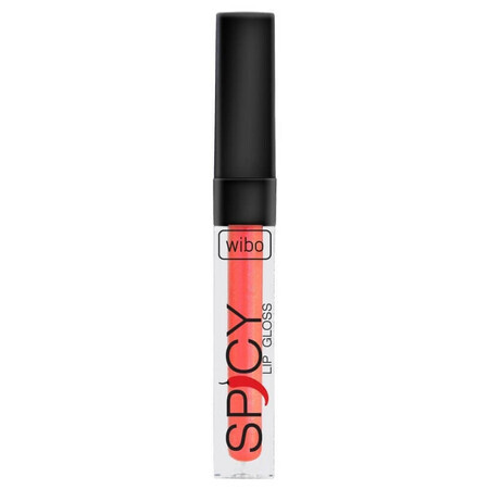 Wibo Spicy Lip Gloss Brillant à lèvres 8, 3ml