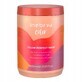 Inebrya Colour Perfect Mask pour cheveux color&#233;s, 1000ml