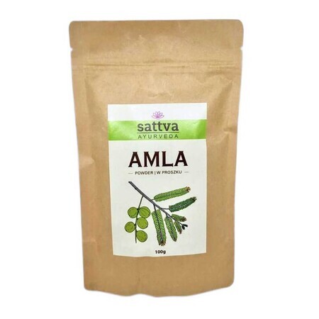 Sattva Ayurveda Masque à la cire d'amla, 100g