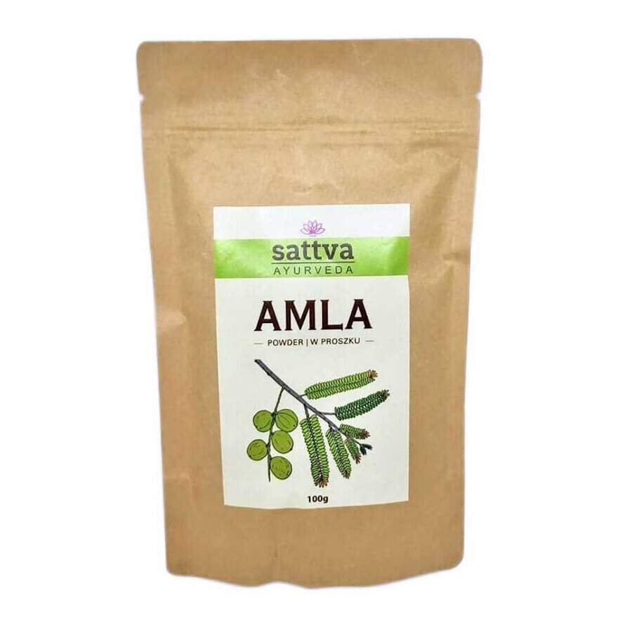 Sattva Ayurveda Masque à la cire d'amla, 100g