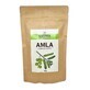 Sattva Ayurveda Masque &#224; la cire d&#39;amla, 100g