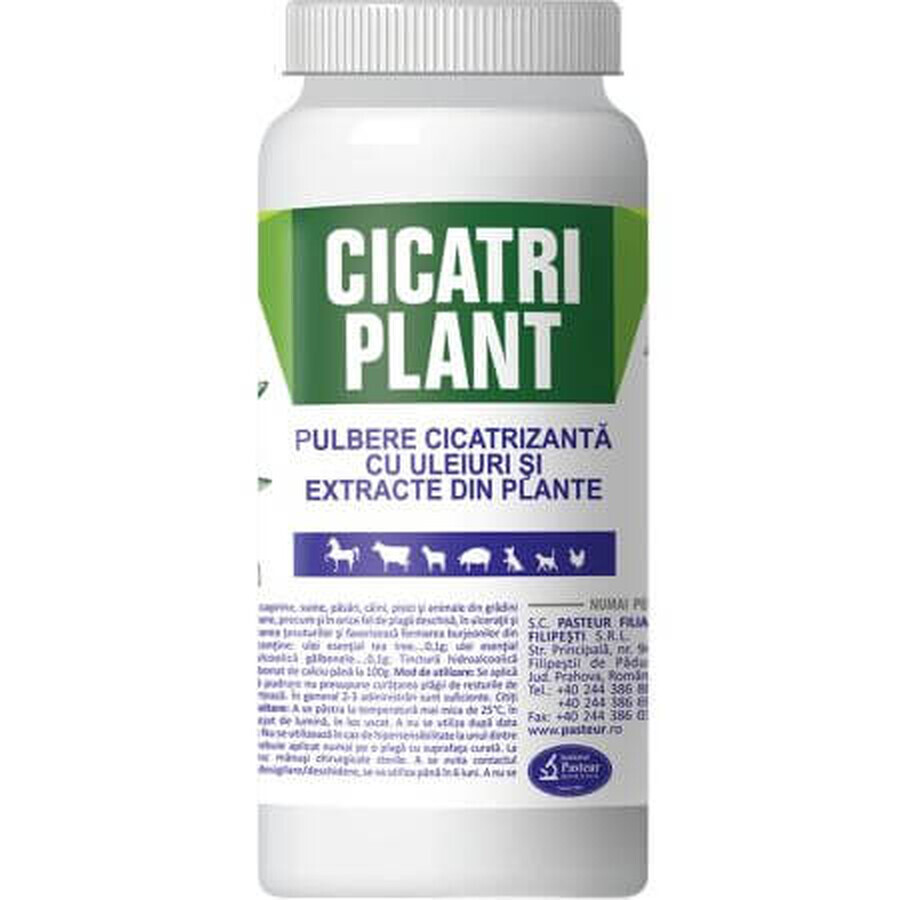 Cicatri Pflanzenheilpulver, 100 g, Pasteur