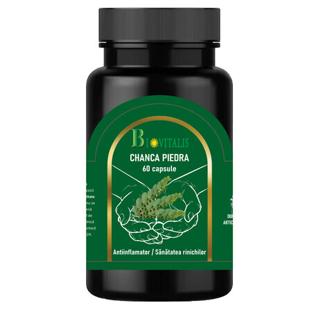 Chanca Piedra, 500 mg, 60 gélules, Biovitalis