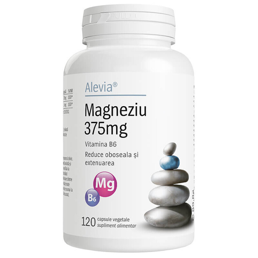 Magnesium 375mg B6, 120 capsules, Alevia