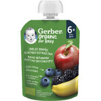 Gerber Organic Bag with apples, bananas, blueberries and blackberries 100% BIO 6m+ 16 x 90 g