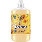 Coccolino Orange rush laundry conditioner 1.7 l