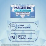 Magne B6 FORTE 60 tablets