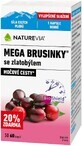 NatureVia Mega myrtilles avec verge d&#39;or 60 pi&#232;ces