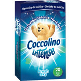 Coccolino dryer wipes 20 pcs