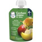 Gerber Organic Capsule pear, apple and banana 90 g