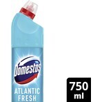 Nettoyant WC Domestos Power atlantic 750 ml