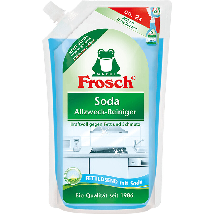 Frosch ECO Detergente per cucina con soda naturale - ricarica 950 ml