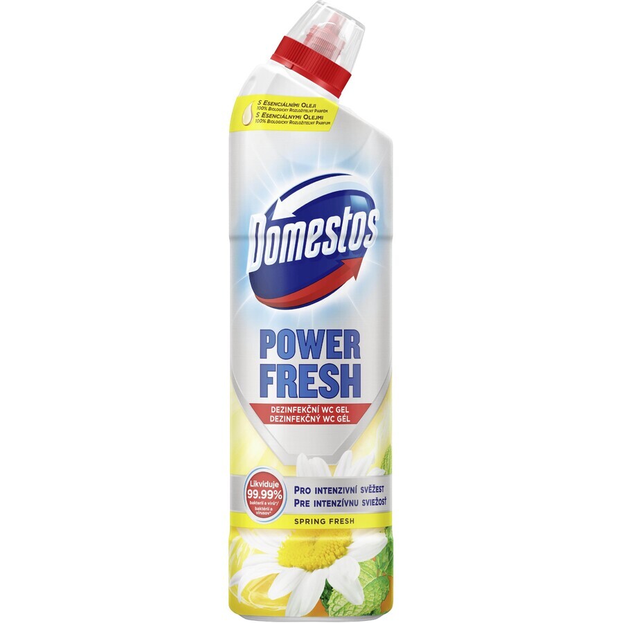 Gel de toaletă Domestos Power Fresh Spring 700 ml