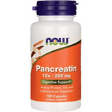 Now Foods Pancreatin 100 gélules