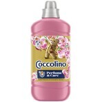 Coccolino Kamperfoelie wasverzachter 1.27 l