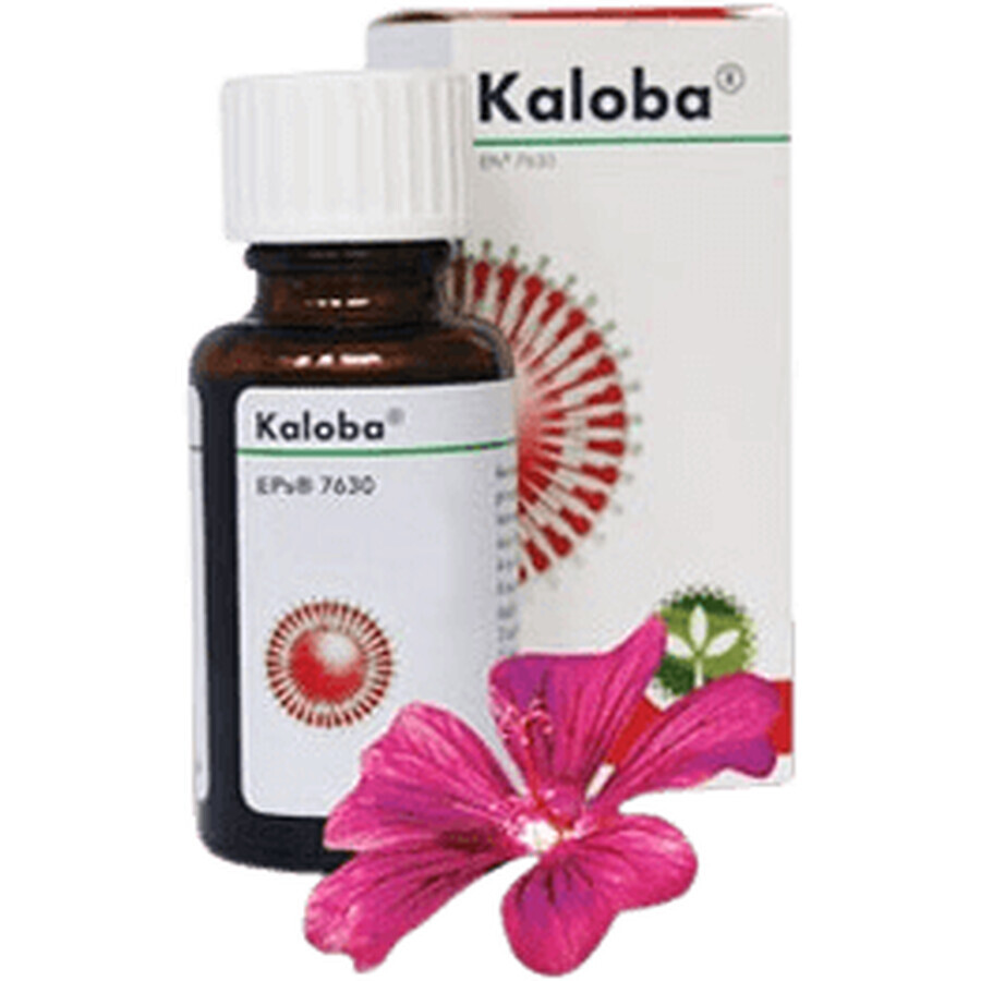 Kaloba gouttes 20 ml