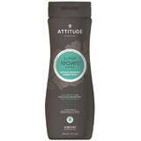 Attitude Super Leaves Shampooing et savon corporel pour hommes, détoxifiant et antipelliculaire (2en1) 473 ml