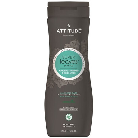 Attitude Super Leaves Shampooing et savon corporel pour hommes, détoxifiant et antipelliculaire (2en1) 473 ml