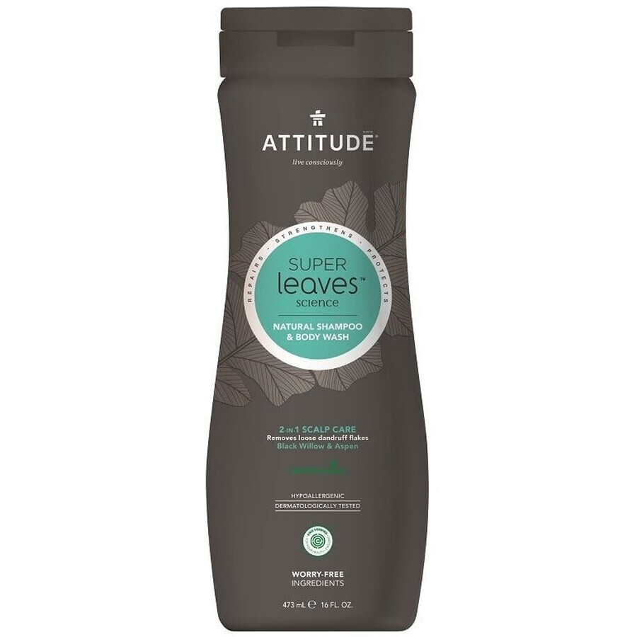 Attitude Super Leaves Shampooing et savon corporel pour hommes, détoxifiant et antipelliculaire (2en1) 473 ml