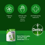 Ricarica Dettol Sapone Liquido Aloe Vera e Vitamina E 500 ml